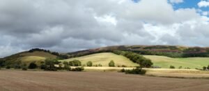 Rapidhomedirect stevenson