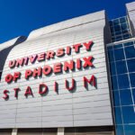 arizona cardinals vs buffalo bills match player stats