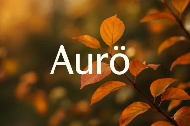 Aurö